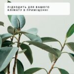 Конвектор електричний Mill PA1500WIFI3 22 м² 1500 Вт купити в Україні hotpro купить в Украине хотпро